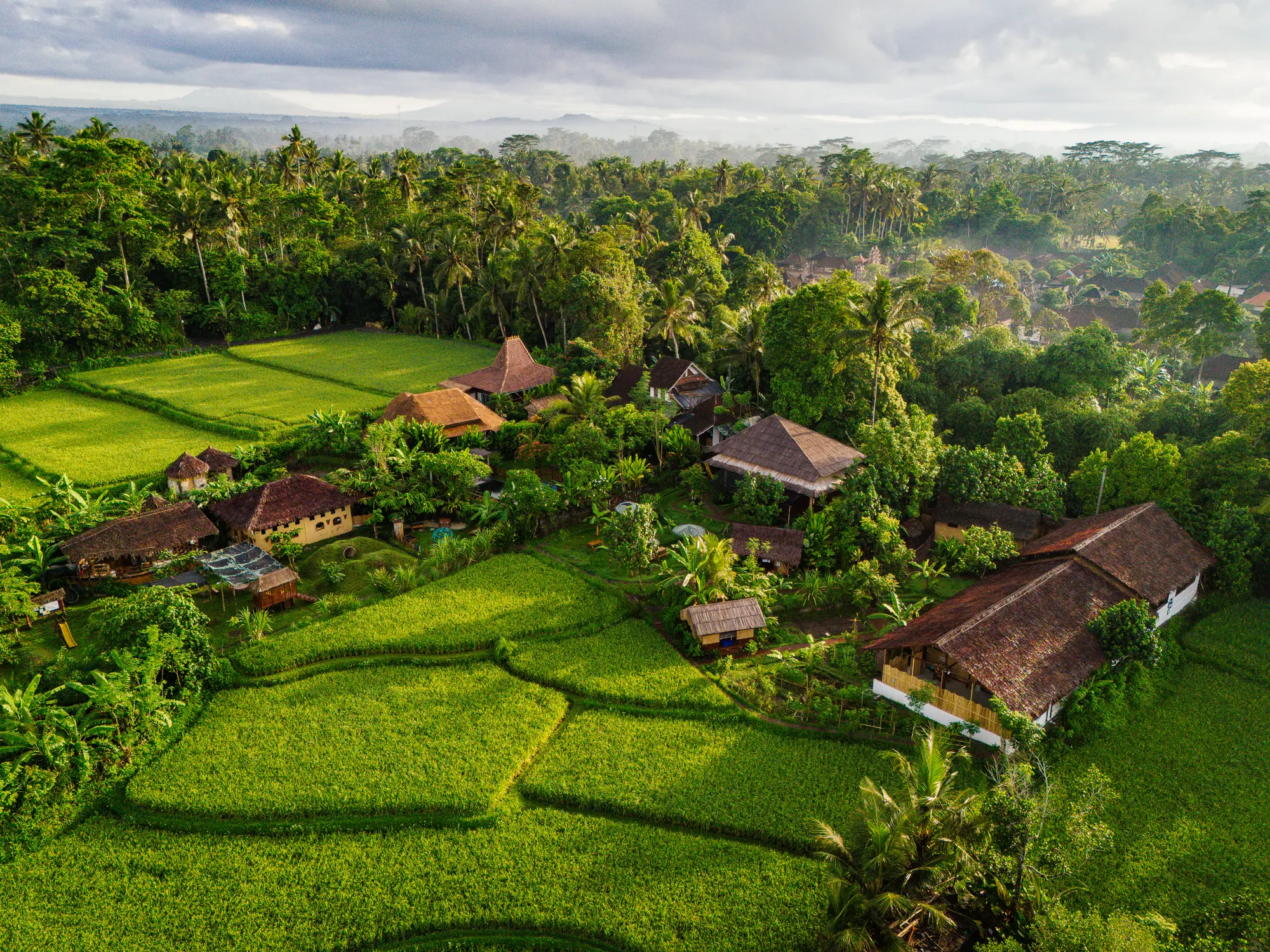 Empathy School's buildings nestled among rice fields and trees in Bali.